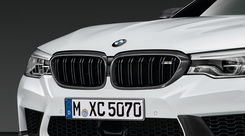 BMW M Performance Grille, Carbon