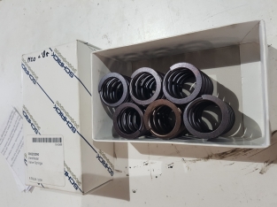 Schrick valve spring M20 pre '85