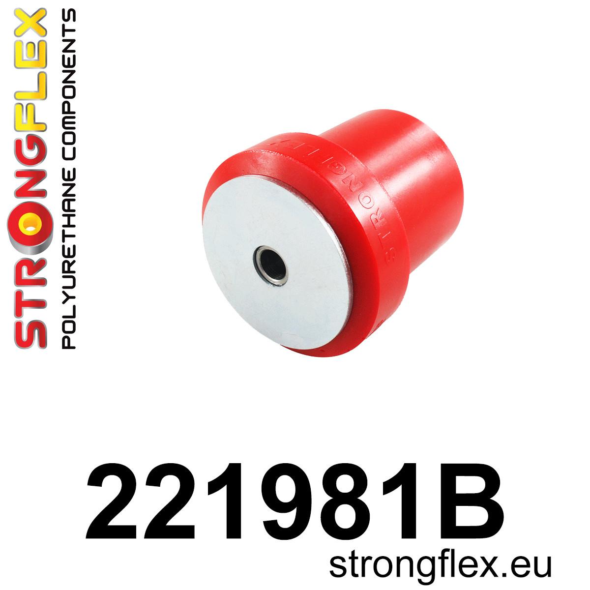 221981B: Rear beam bush