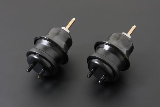 LEGACY 09- BM/BR hard engine mount 2PCS/SETS STREET USE