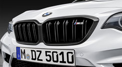 BMW M Performance Grille, Carbon