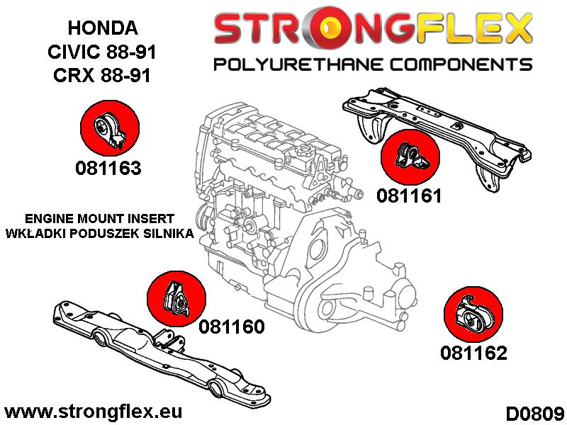 081160A: Engine mount inserts front SPORT