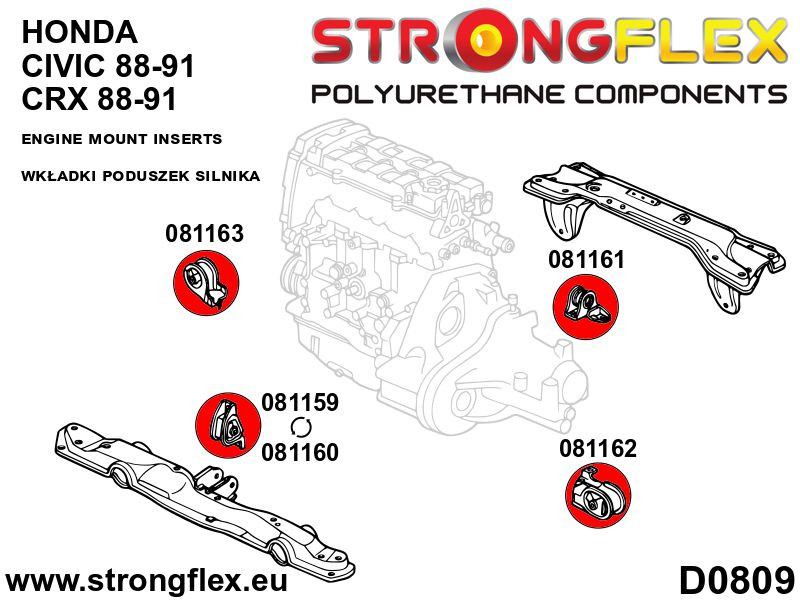 081159A: Engine mount inserts front SPORT