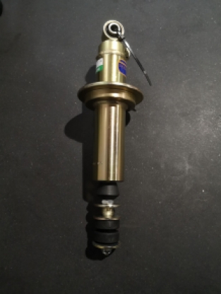 Tasmin rear shock absorber GS8-2289