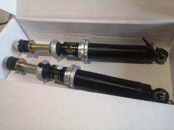 Clio 3 RS Coilover dampers gold rear