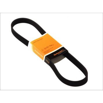 Belt Continental 6PK1600