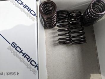 Schrick klepveren binnen (M10)