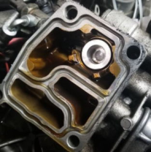 S50/S54 Oil thermostat delete